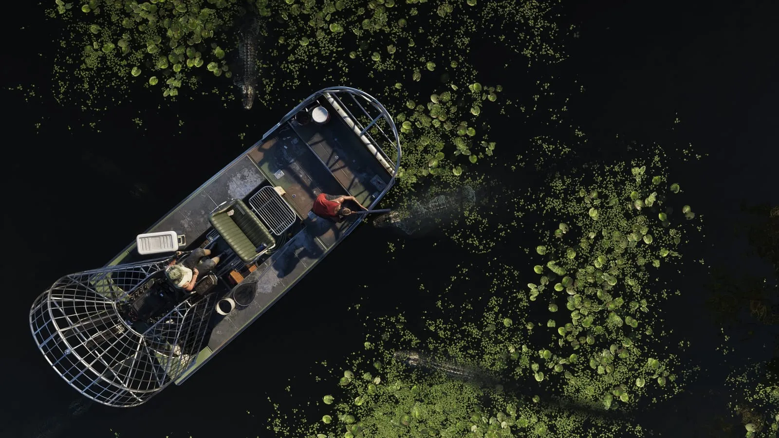 Vue verticale d'un hydroglisseur sur une eau noire, deux occupants et des alligators dans les nénuphars