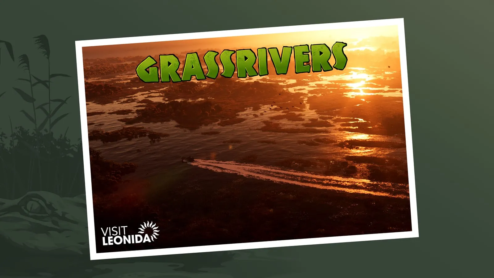 Carte postale « Grassrivers » sur fond vert, marais au soleil couchant traversés par un hydroglisseur