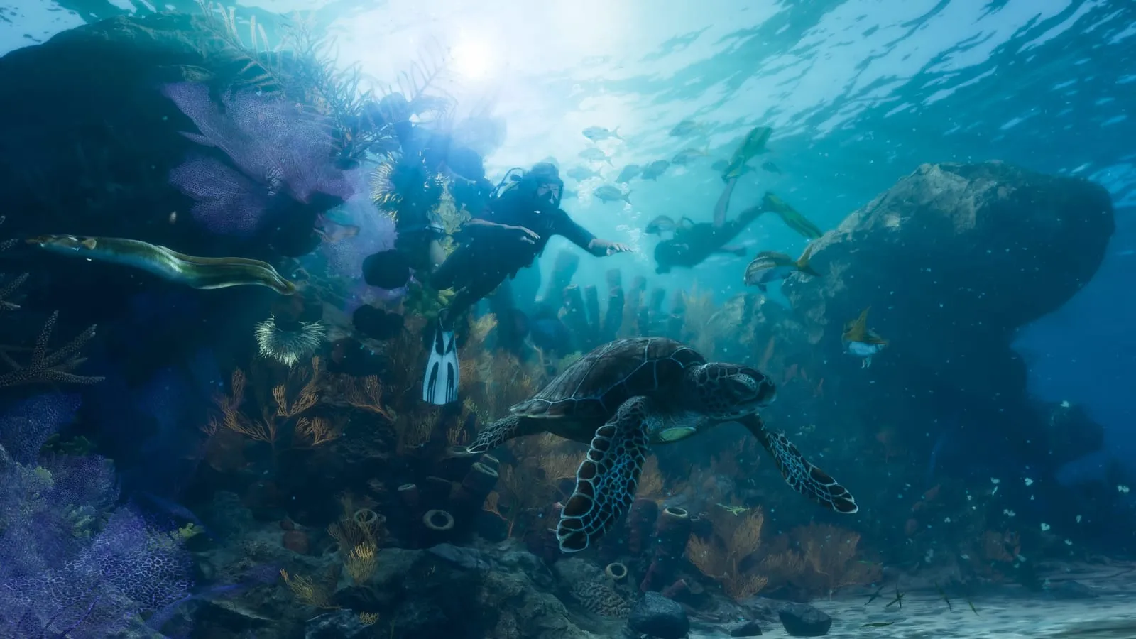 Plongeurs et tortue marine au-dessus d'un récif corallien coloré, lumière du soleil en surface